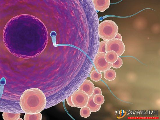 龙虎彩票官网首页
全部详细流程!你想知道的都在这(图1)