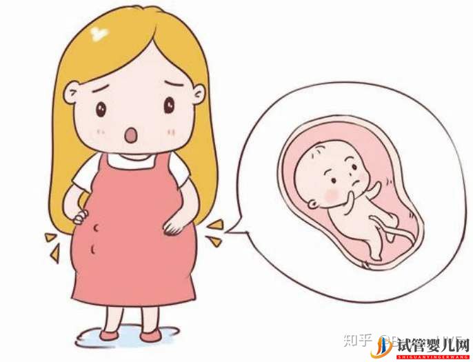 龙虎彩票官网首页
全部详细流程!你想知道的都在这(图2)