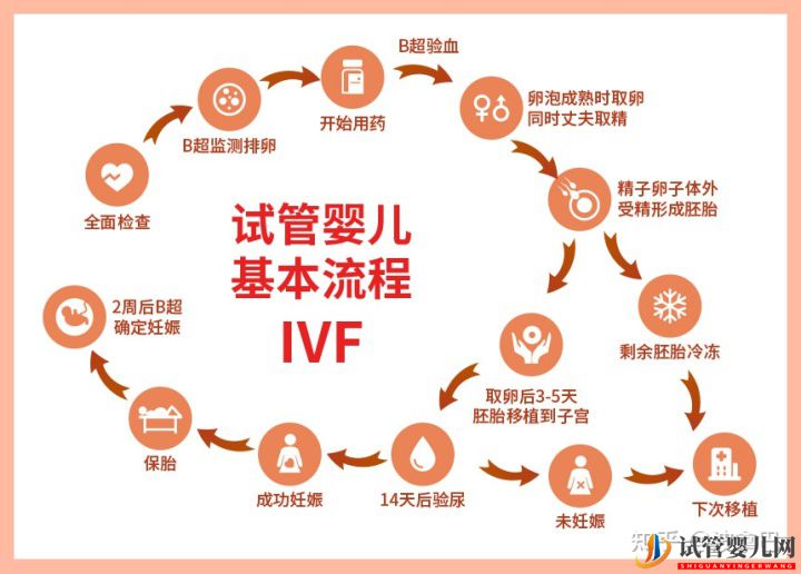 试管婴儿怎么做的全过程_什么是龙虎彩票官网首页
(图2)