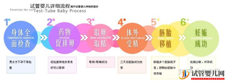 试管婴儿怎么做的全过程_什么是龙虎彩票官网首页
(图3)