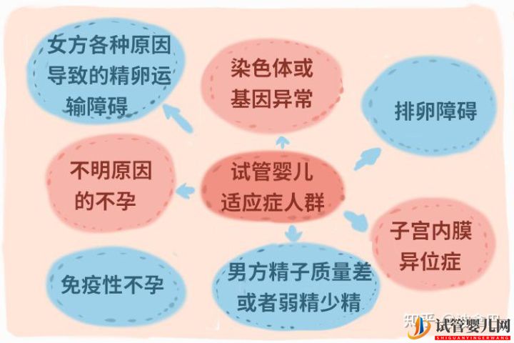 试管婴儿怎么做的全过程_什么是龙虎彩票官网首页
(图6)