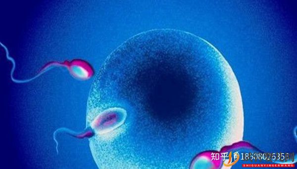 成都龙虎彩票官网首页
的费用是多少(图1)