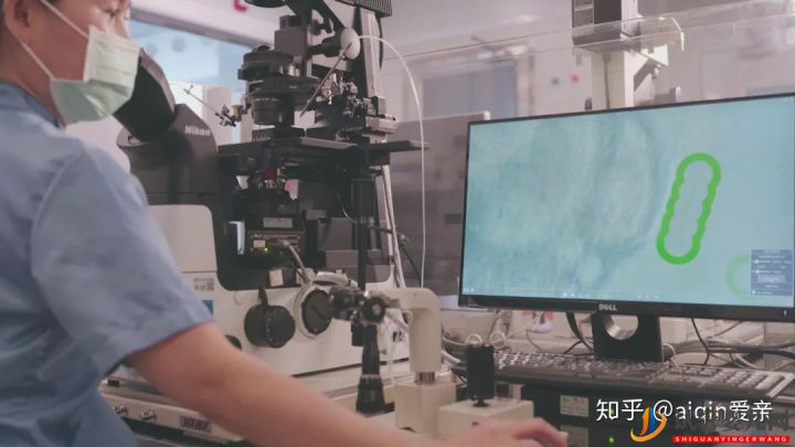 最完整的泰国试管流程时间表(图19) 最完整的泰国试管流程时间表(图19)