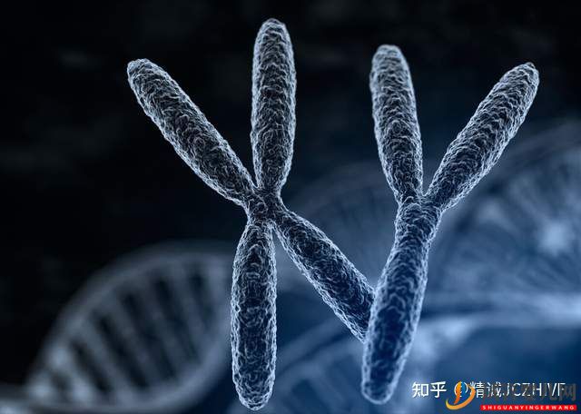 龙虎彩票官网首页
要花多少钱_流程是怎样的(图3)