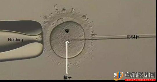 铜仁龙虎彩票官网首页
费用是多少,大致的流程有哪些(图2)