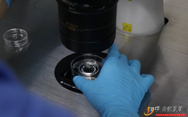杭州龙虎彩票官网首页
医院费用多少钱(图2)