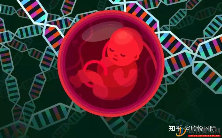 龙虎彩票官网首页
费用大概多少钱(图1)