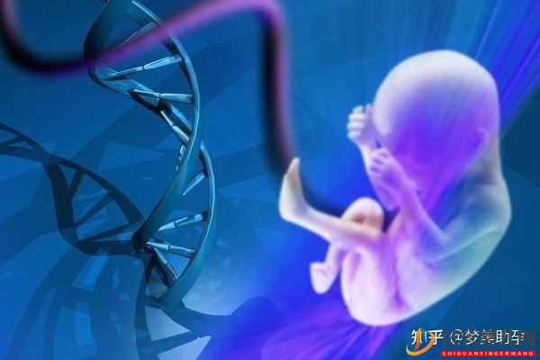 美国龙虎彩票官网首页
费用是多少,成功率多高(图3)