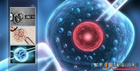 做一次试管婴儿有哪些流程(图4) 做一次试管婴儿有哪些流程(图4)