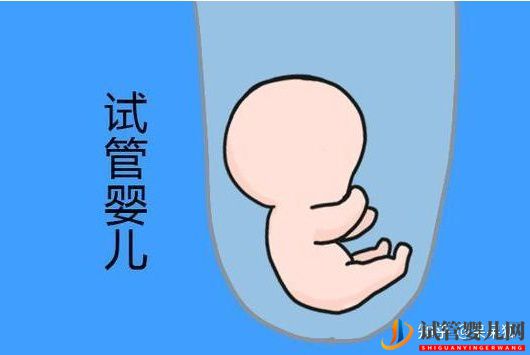 龙虎彩票官网首页
的流程及费用标准怎么样(图2) 龙虎彩票官网首页
的流程及费用标准怎么样(图2)