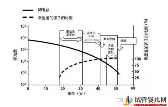 龙虎彩票官网首页
完美解决染色体异常(图4)