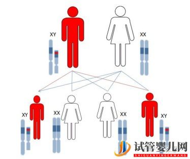 龙虎彩票官网首页
技术可以筛查哪些常见的遗传疾病呢(图2)