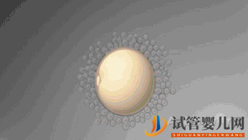 龙虎彩票官网首页
真的最好最先进吗_国内哪里可以做(图1)