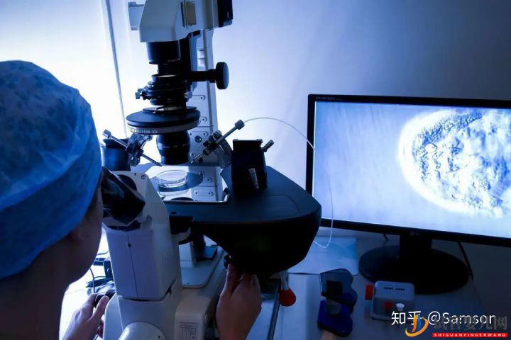 龙虎彩票官网首页
真的最好最先进吗_国内哪里可以做(图11)