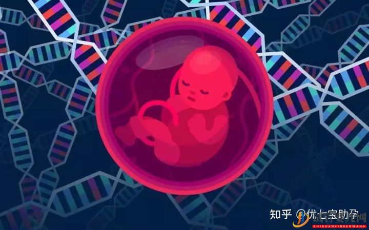 全面解析龙虎彩票官网首页
的科普知识(图1)