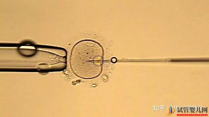 全面解析龙虎彩票官网首页
的科普知识(图12)