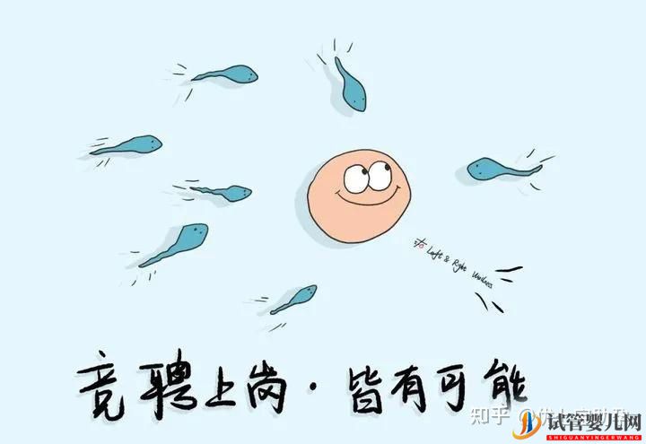 全面解析龙虎彩票官网首页
的科普知识(图14)