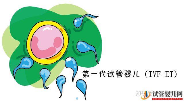 什么是三代试管婴儿龙虎彩票官网首页
成功率高(图2)