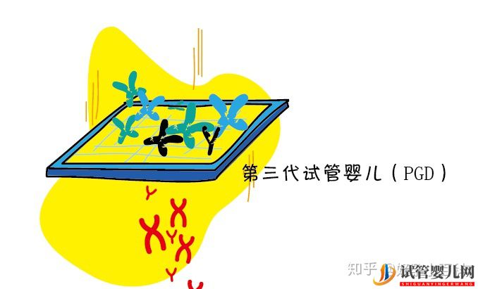 什么是三代试管婴儿龙虎彩票官网首页
成功率高(图4)
