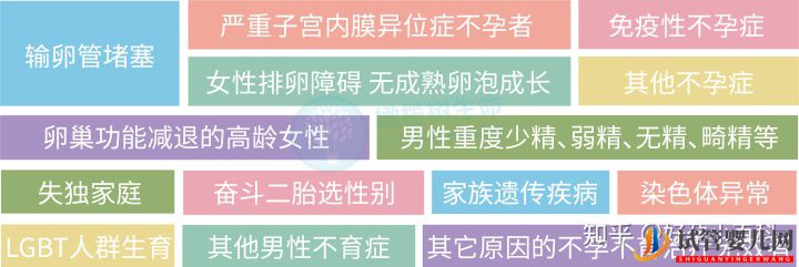 什么是三代试管婴儿龙虎彩票官网首页
成功率高(图5)