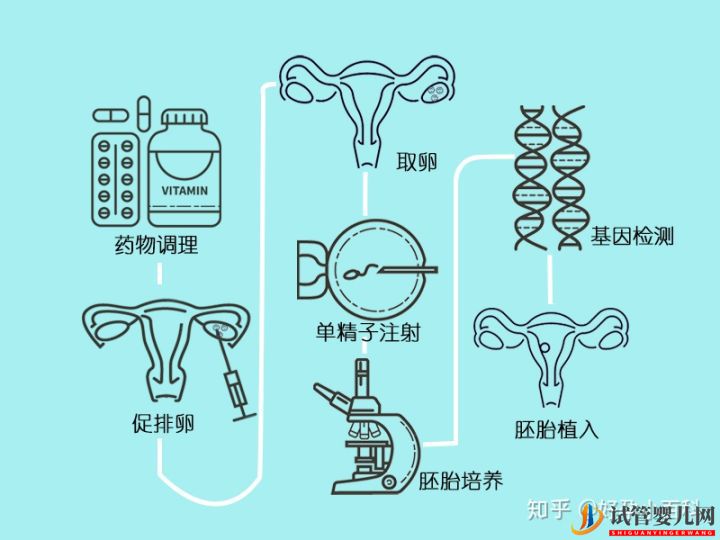 什么是三代试管婴儿龙虎彩票官网首页
成功率高(图6)