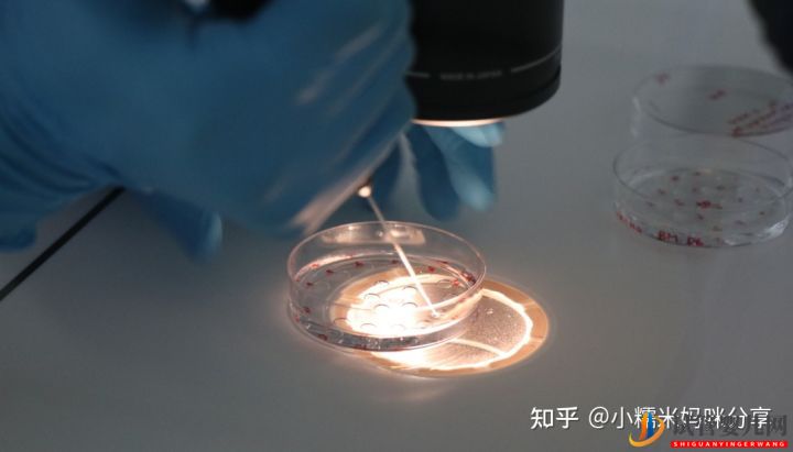 实话实说,龙虎彩票官网首页
的费用数目是多少(图1)