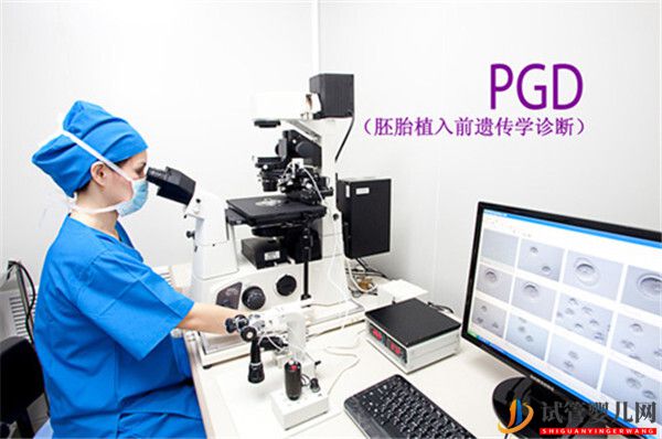 通过龙虎彩票官网首页
技术助孕的囊胚和胚胎相比有哪些优势(图1) 通过龙虎彩票官网首页
技术助孕的囊胚和胚胎相比有哪些优势(图1)