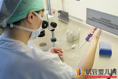 泰国龙虎彩票官网首页
费用如何降低成功率如何提高(图2) 泰国龙虎彩票官网首页
费用如何降低成功率如何提高(图2)