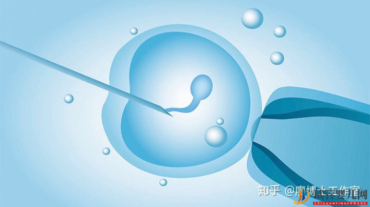 龙虎彩票官网首页
优于第一代和第二代吗？适合哪些人？试管大约多少钱？(图2)