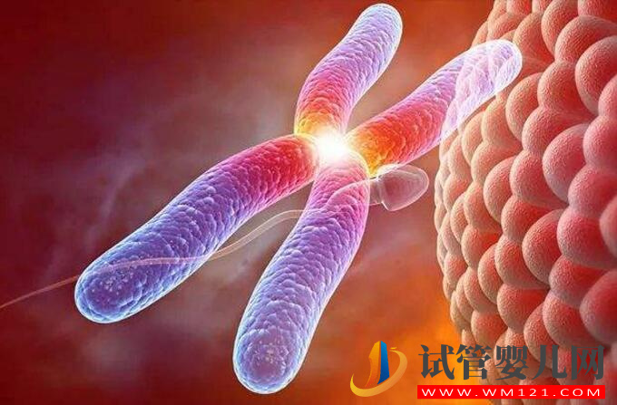 做龙虎彩票官网首页
要什么条件？(图1)