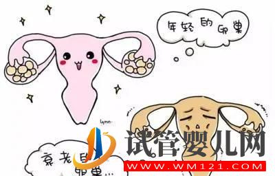 什么是卵巢早衰?哪些是卵巢早衰高危人群?(图1) 什么是卵巢早衰?哪些是卵巢早衰高危人群?(图1)