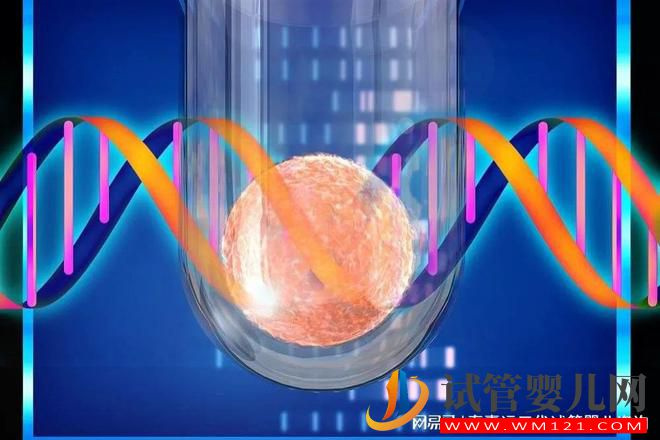 龙虎彩票官网首页
技术核心“PGT”(图4)