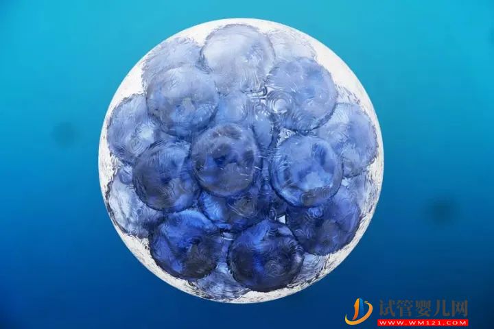 干细胞最全的科普,拿走不谢! 干细胞最全的科普,拿走不谢!(图1)