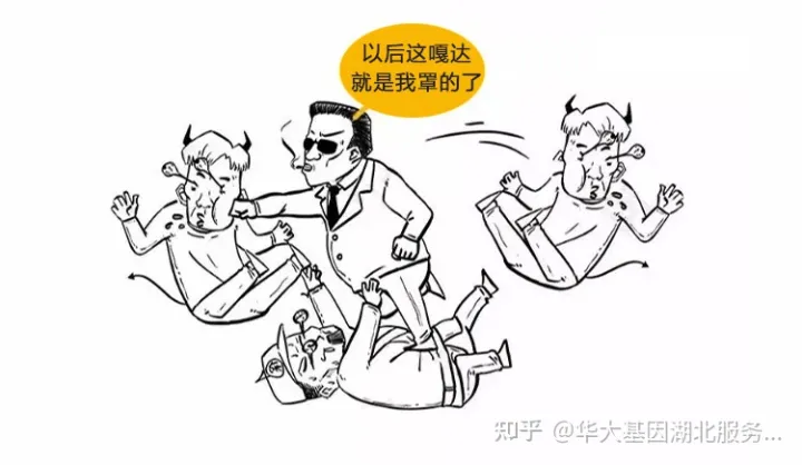 什么是干细胞?一文让你读懂!(图19) 什么是干细胞?一文让你读懂!(图13)