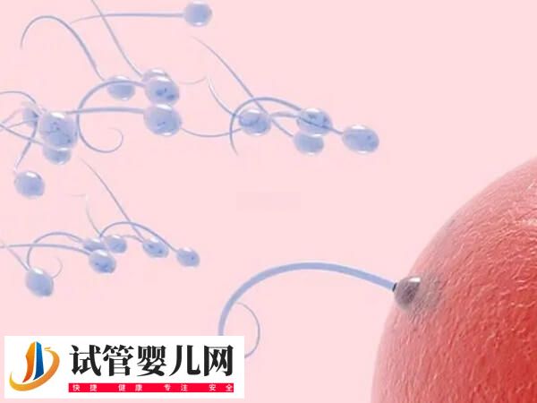自然周期什么时候移植胚胎好(图1)