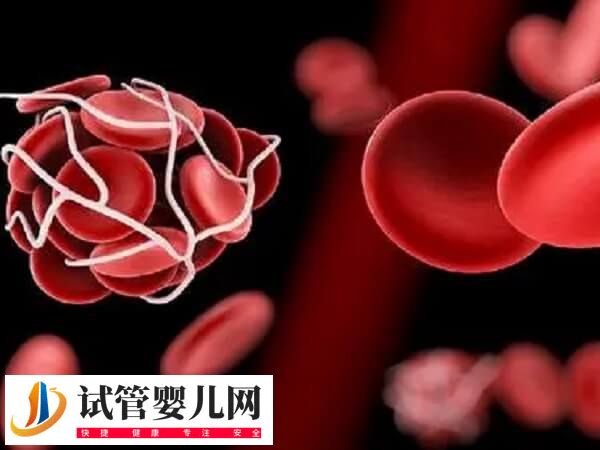 胚胎移植后为何不能一直躺(图1)