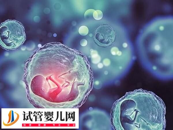 鲜胚和囊胚移植的优缺点有哪些(图1)