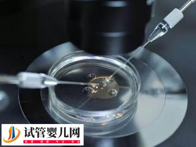 试管移植后身体会有什么反应(图1)