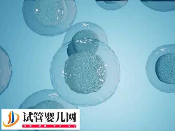 黄体期促排卵方案适不适合大龄女性