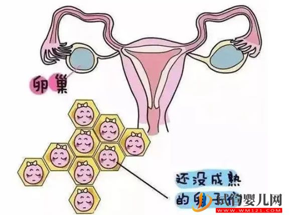 夫妻交流用这个姿势最有效(图2)