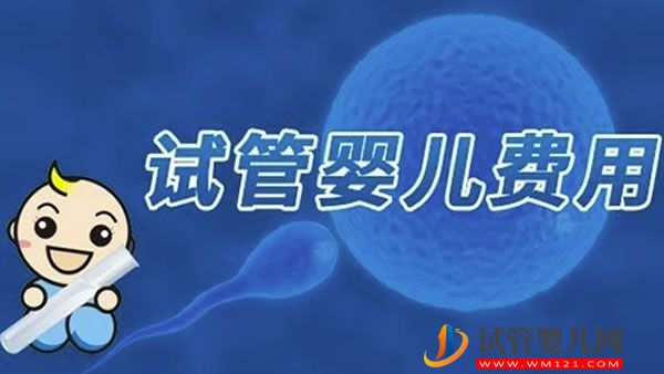 赴美试管攻略:FSAC加州生殖中心助孕5大经验分享 (图1)