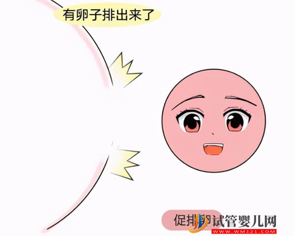 胚胎移植前一个月要怎么调理，移植时间可以自己安排吗？(图5)