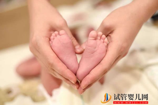 试管之窗 精液的常规检查(图1)