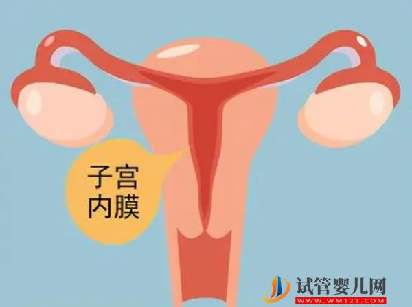 俄罗斯试管做一次的费用及成功率(图1)