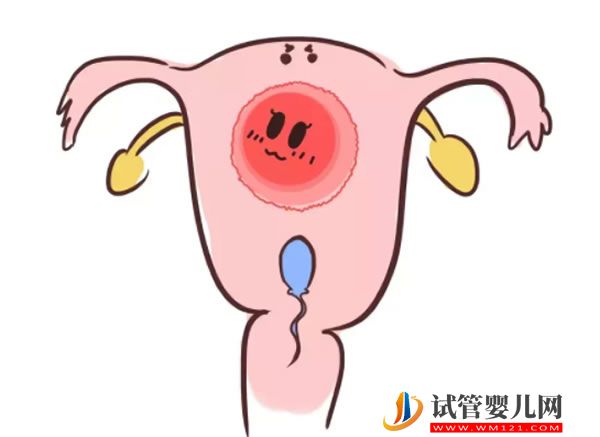 俄罗斯试管和泰国试管哪个好(图1)